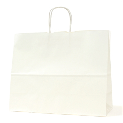 パックタケヤマ 紙袋 手提 HV142 晒 無地