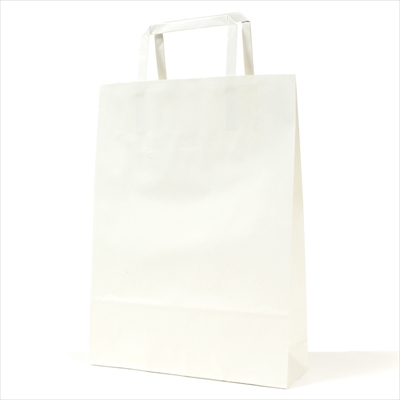 パックタケヤマ 紙袋 手提 H平227 晒