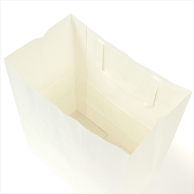 パックタケヤマ 紙袋 手提 H平23 晒 無地