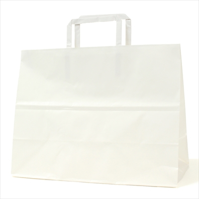 パックタケヤマ 紙袋 手提 H平32 晒 無地