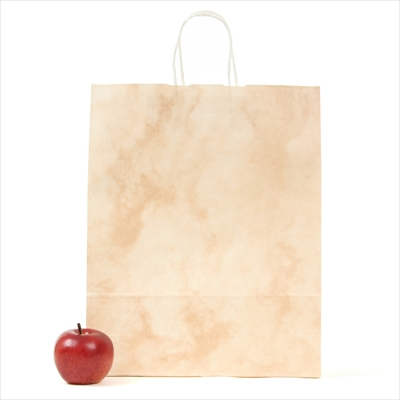 パックタケヤマ　紙袋 手提 HZ ルネッサンスサーモン