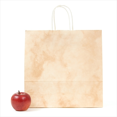 パックタケヤマ　紙袋 手提 HX ルネッサンスサーモン