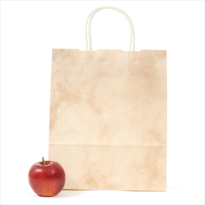 パックタケヤマ　紙袋 手提 HBT ルネッサンスサーモン