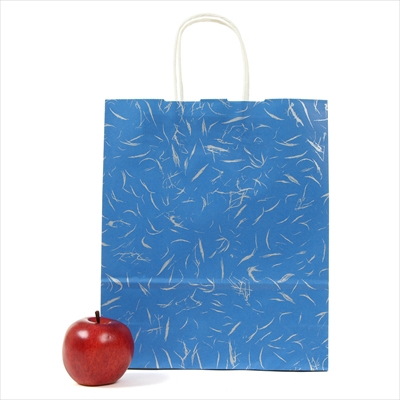 パックタケヤマ 紙袋 手提 HBT 風雅 ブルー