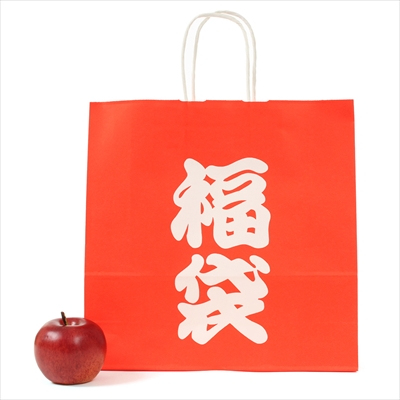 パックタケヤマ 紙袋 手提 HX 福袋