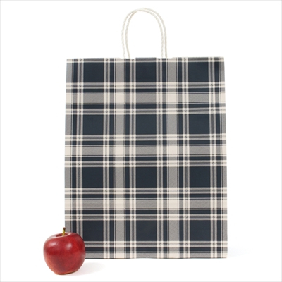 パックタケヤマ　紙袋 手提 HZ ロイヤルチェックブルー