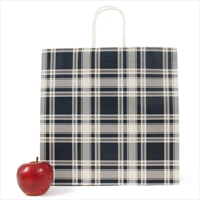 パックタケヤマ 紙袋 手提 HX ロイヤルチェックブルー