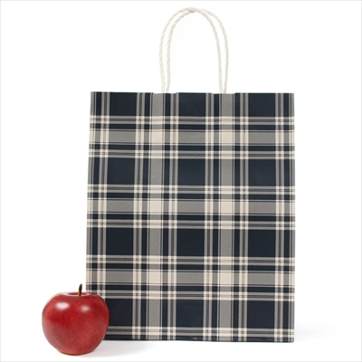 パックタケヤマ 紙袋 手提 HBT ロイヤルチェックブルー