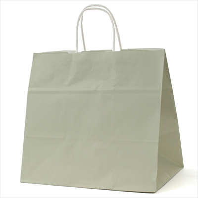 パックタケヤマ 紙袋 手提 HV75 グレー