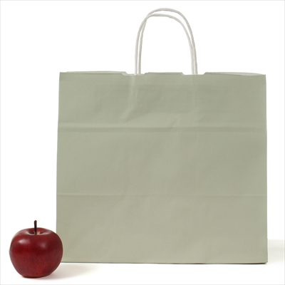 パックタケヤマ 紙袋 手提 HV75 グレー