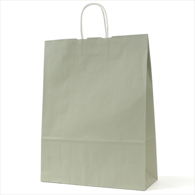 パックタケヤマ　紙袋 手提 HV100 グレー