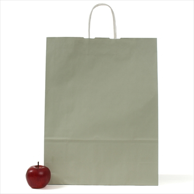 パックタケヤマ　紙袋 手提 HV100 グレー