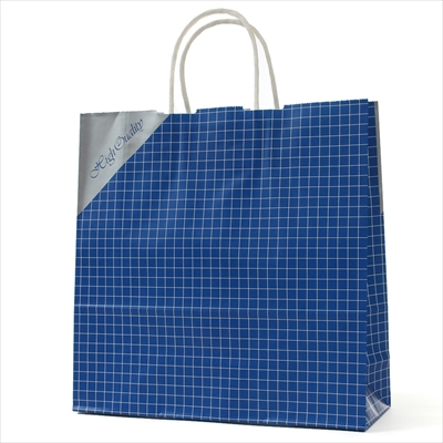 パックタケヤマ 紙袋 手提 HX ネット ブルー