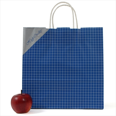 パックタケヤマ 紙袋 手提 HX ネット ブルー