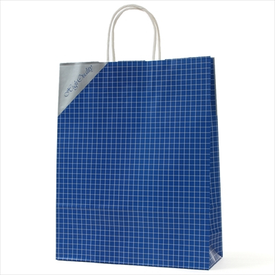 パックタケヤマ　紙袋 手提 HZ ネット ブルー
