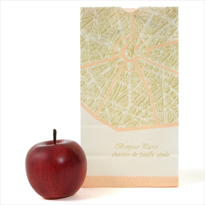 パックタケヤマ　紙袋 マチアリ H4 パリ