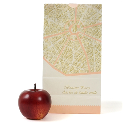 パックタケヤマ 紙袋 マチアリ H6 パリ