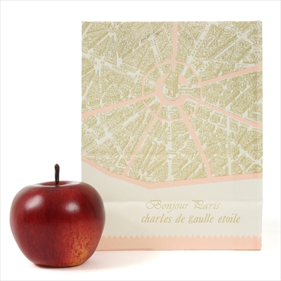 パックタケヤマ 紙袋 マチアリ H200 パリ