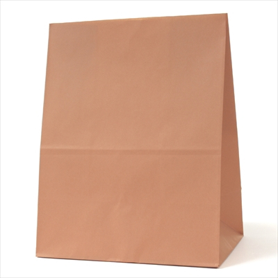 パックタケヤマ 紙袋 マチアリ H300 ブラン