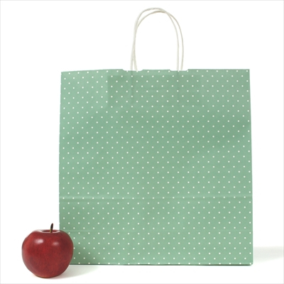 パックタケヤマ　紙袋 手提 HX 水玉 ブルー