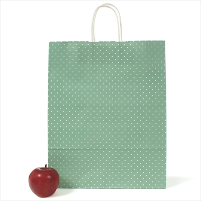 パックタケヤマ 紙袋 手提 HZ 水玉 ブルー