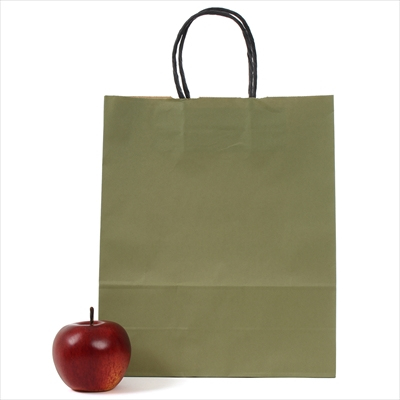 パックタケヤマ 紙袋 手提 HBT ウグイス