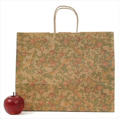 パックタケヤマ 紙袋 手提 HV410 クラシック