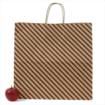 パックタケヤマ　紙袋 手提 HV150 ストライプ