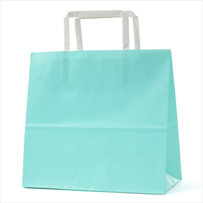 パックタケヤマ 紙袋 手提 H平24 スカイ