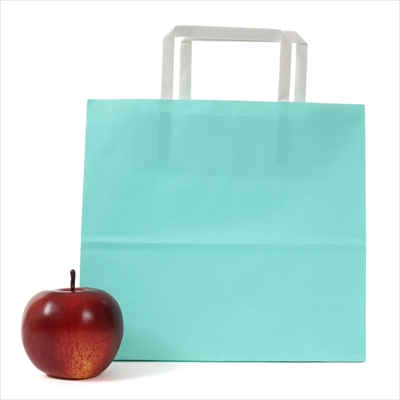 パックタケヤマ 紙袋 手提 H平24 スカイ