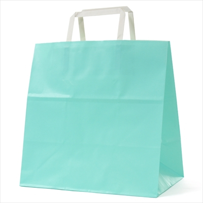 パックタケヤマ　紙袋 手提 H平26 スカイ