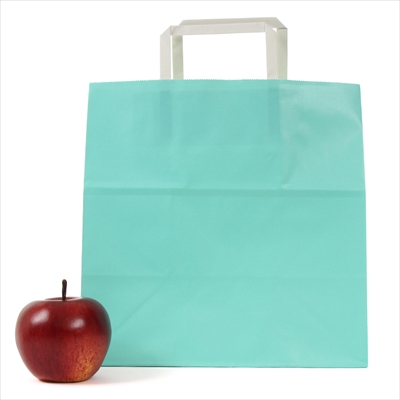 パックタケヤマ　紙袋 手提 H平26 スカイ