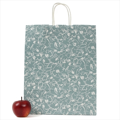 パックタケヤマ 【※売り切れ次第販売終了】紙袋 手提 HZ モダン