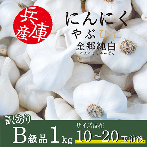 やぶひこ（金郷純白）訳ありB級品　1kg　2024年産