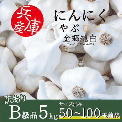 やぶひこ(金郷純白)訳ありB級品 5kg 2024年産
