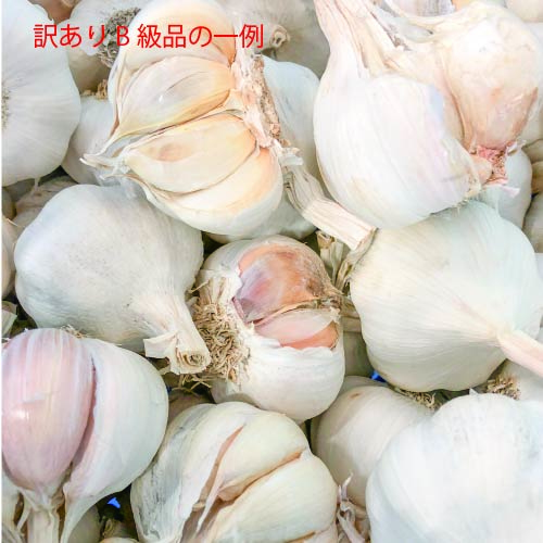 やぶひこ(金郷純白)訳ありB級品 5kg 2024年産