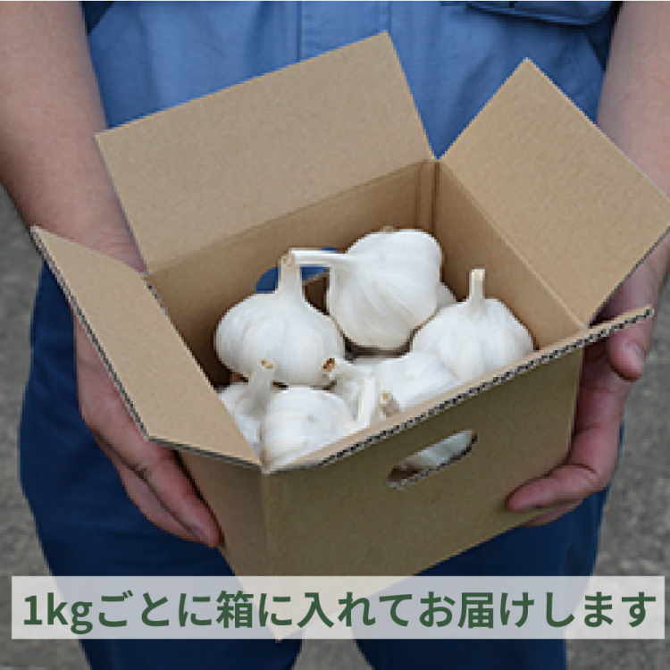 やぶひこ（金郷純白）訳ありB級品　1kg　2024年産