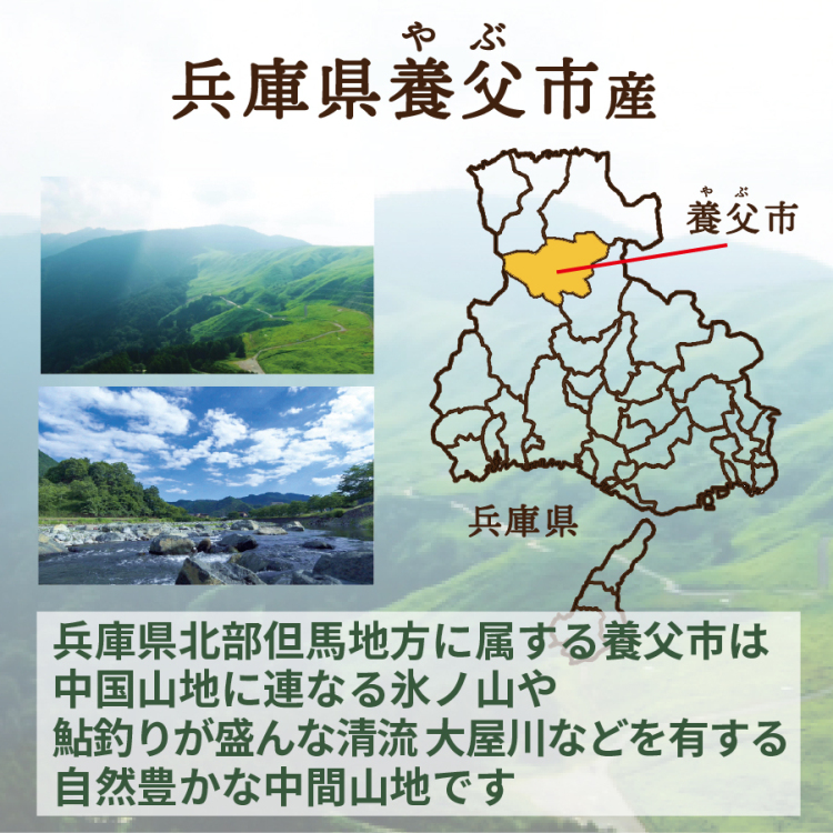 やぶひこ（金郷純白）訳ありB級品　1kg　2024年産