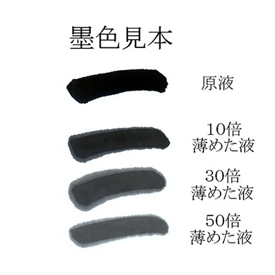 志昌堂　志昌堂濃墨　360ｍｌ　EK-707