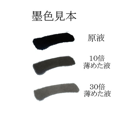 志昌堂　志適　450ｍｌ　EK-4