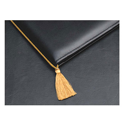 コレクト　房つきストラップ薄茶 F-S44-BE