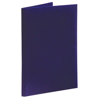 コレクト 調印証書ホルダー　Ｆ−１４４　細布　Ａ４　濃紺 Ｆ−１４４ ★10個パック まとめ） コレクト 調印・証書ホルダー 細布製 F-144 濃紺 1冊入 〔×2