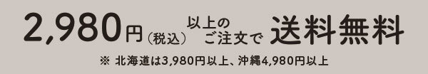 2,980円以上のご注文で送料無料