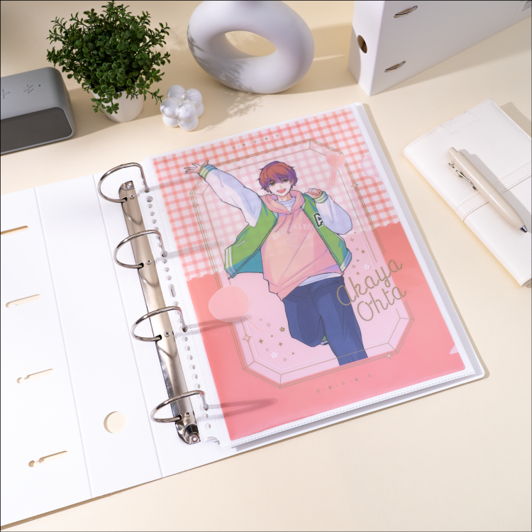 irelu(イレール)バインダーリフィル 1ポケット(両面) クリアファイル用 10枚入 IRL-RF-B01の商品画像8枚目