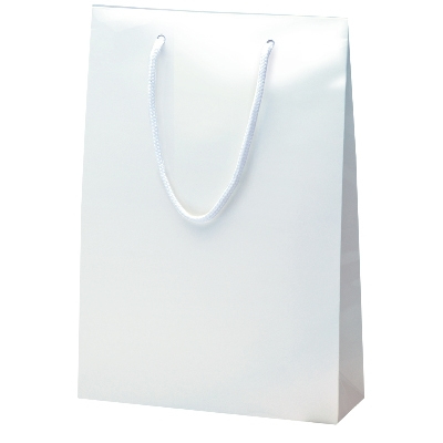 ササガワ　手提ゲバッグ ブライト シロ SWT [10枚袋入]