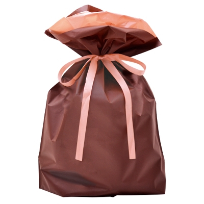 ササガワ　巾着袋 ブラウン 大 1P [5枚袋入]