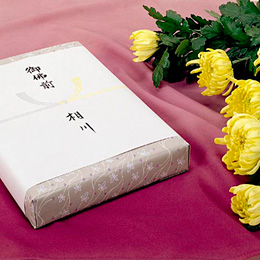 ササガワ　ノシ紙 B5判 黄水引 京  2-248