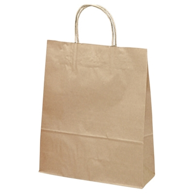 ササガワ　手提ゲバッグ 10P未晒無地 小 [10枚袋入]