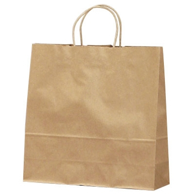 ササガワ　手提ゲバッグ 10P未晒無地 中 [10枚袋入]