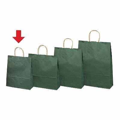 ササガワ　手提ゲバッグ 10Pエメラルド 小 [10枚袋入]